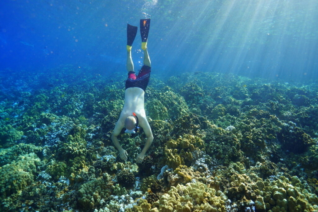 maui classic charters snorkeler at Molokini reef