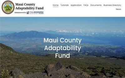 Adaptability Fund Supports Small Businesses
